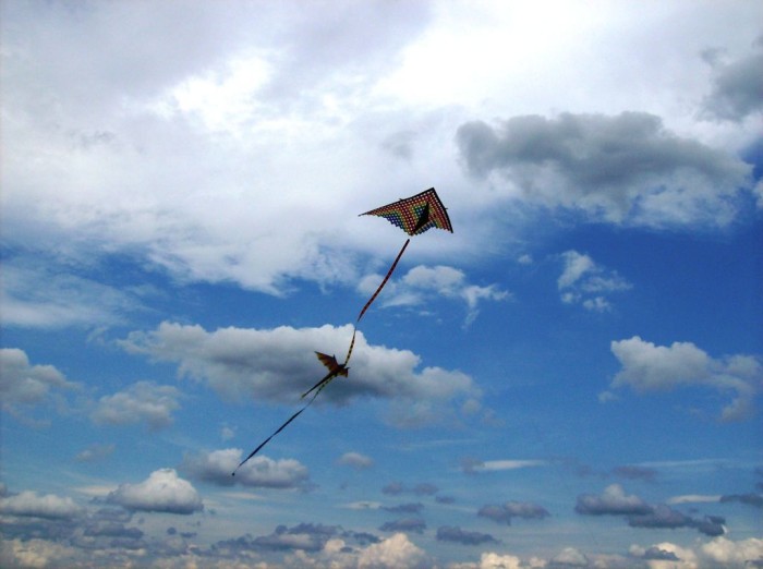 2008 KiteFestival-033.jpg